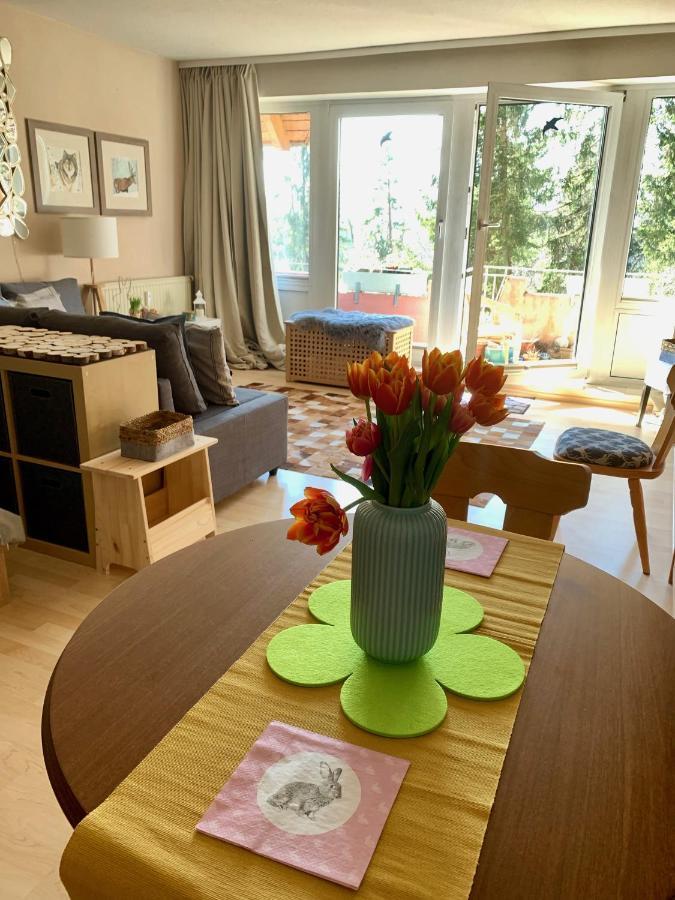 Studio Hase Saig Exteriér fotografie
