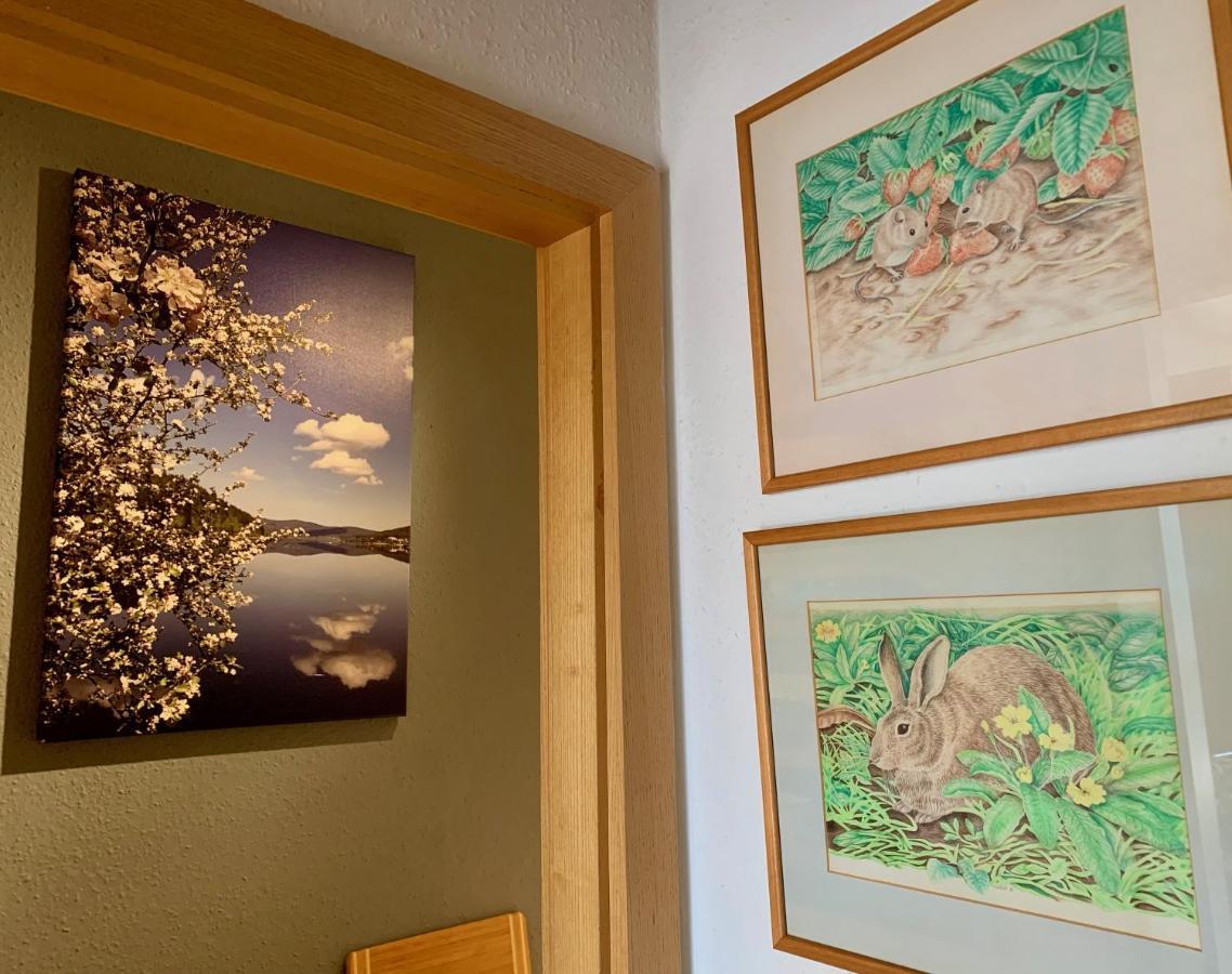 Studio Hase Saig Exteriér fotografie