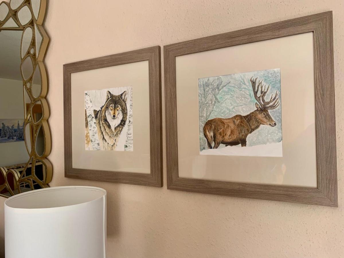 Studio Hase Saig Exteriér fotografie