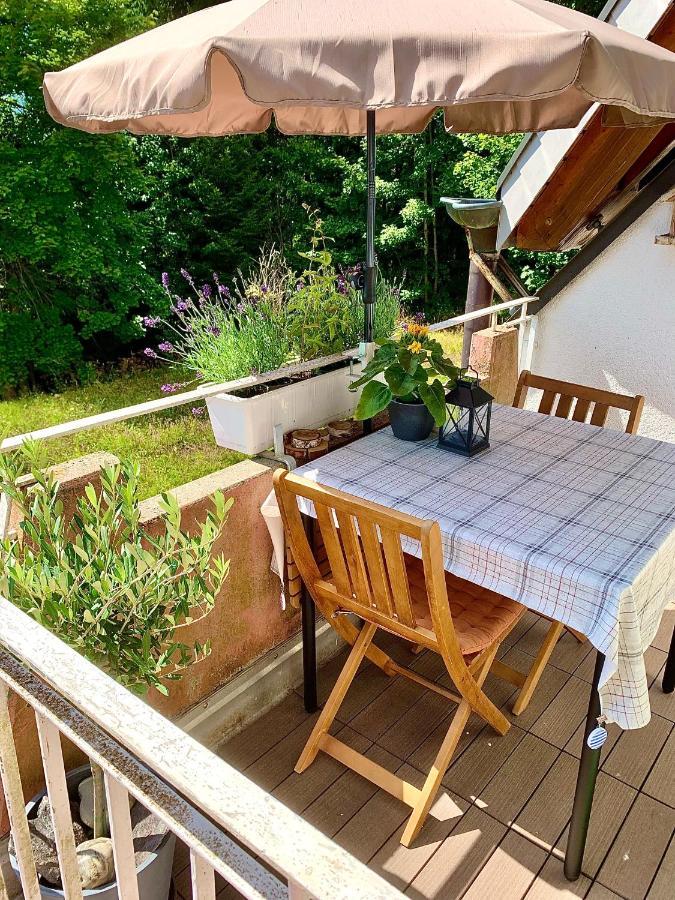 Studio Hase Saig Exteriér fotografie
